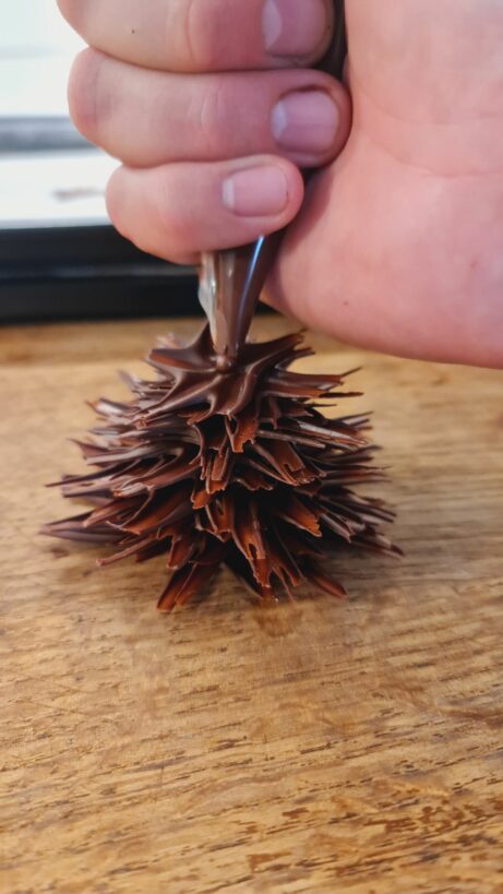 Buch de Noel